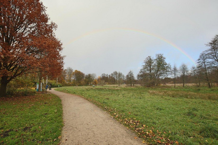 Naturschutzgebiet Einfamilienhaus Norderstedt