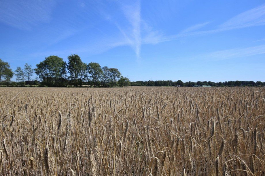 Feldblick! Wohngrundst�ck Norderstedt