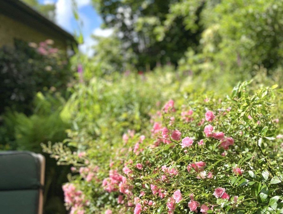 genie�en! Einfamilienhaus Henstedt-Ulzburg