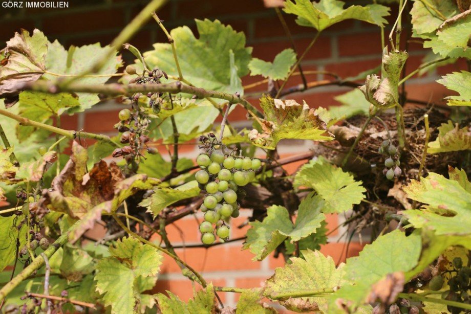 .. und Ihren Wein... Einfamilienhaus Norderstedt