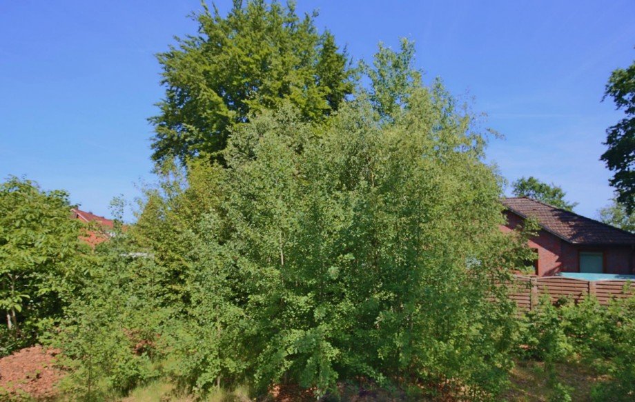  Wohngrundst�ck Norderstedt