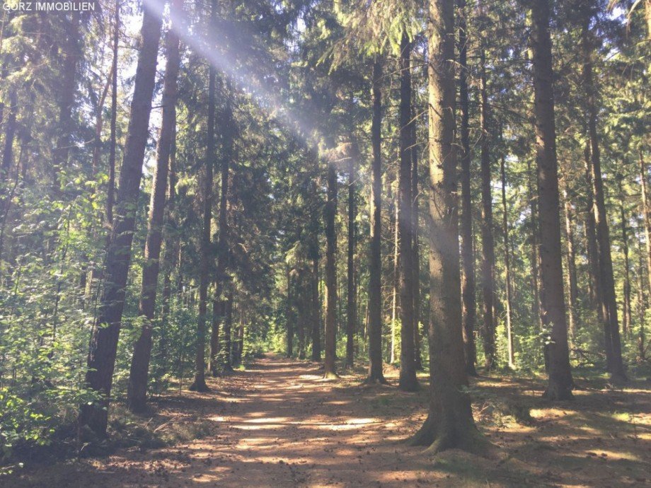 Wald Haus Quickborn-Heide
